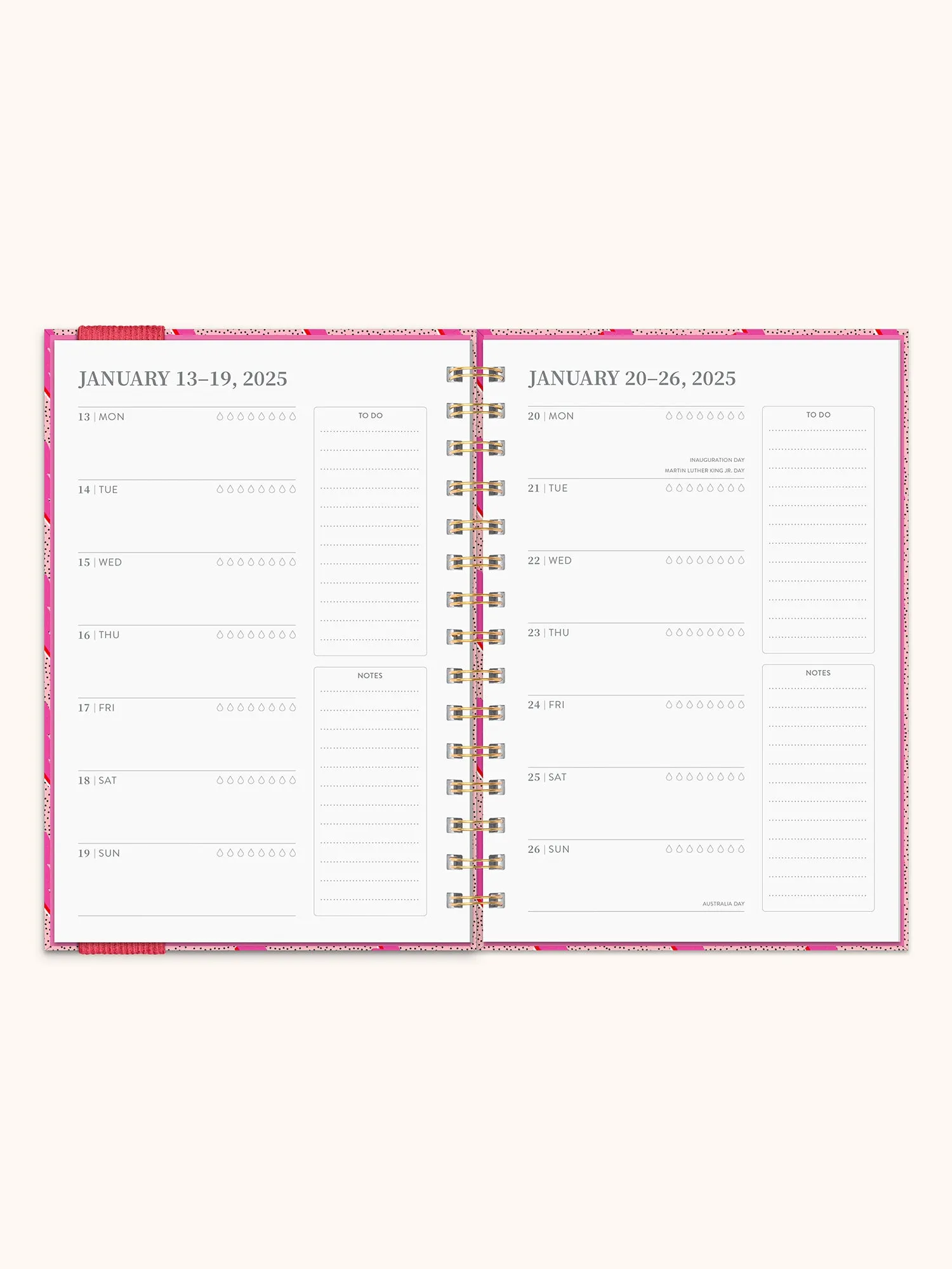 2025 Charged Up Oliver Planner