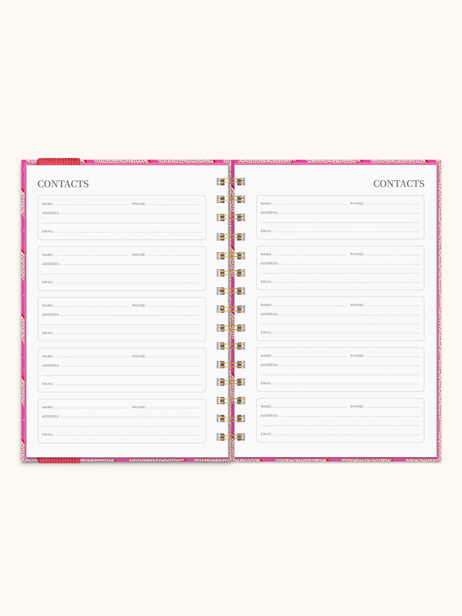 2025 Charged Up Oliver Planner